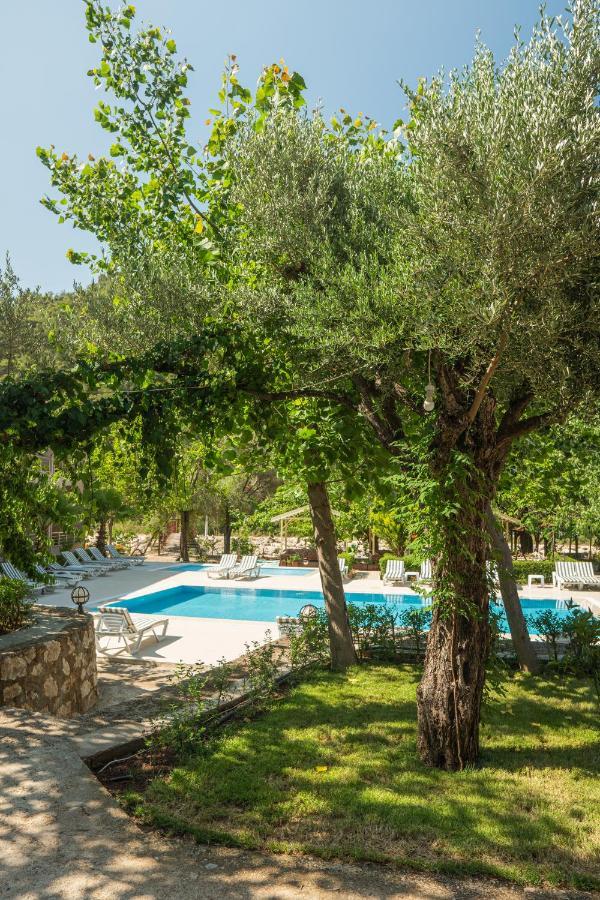 Olimpia Hotel Olympos Exterior photo